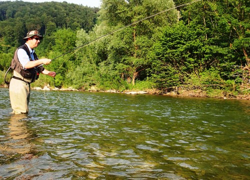 IMG_491574-DA5B23-2A754F-2BB6A1-24FF90-232089