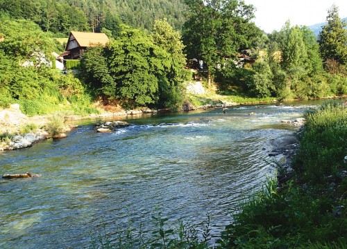 IMG_0787F5-92C8D4-C3D247-8D715B-9D1E87-6EF496