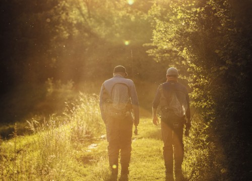 IMG_19B710-B020C2-051E4F-392DD5-93DB8F-1EFC36