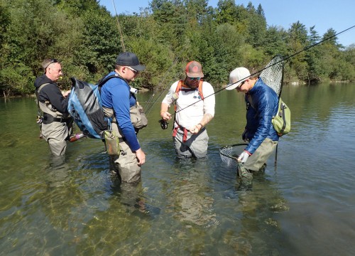 IMG_238A88-06FB7E-9F33B9-AF3E38-BE4CF1-775CF6