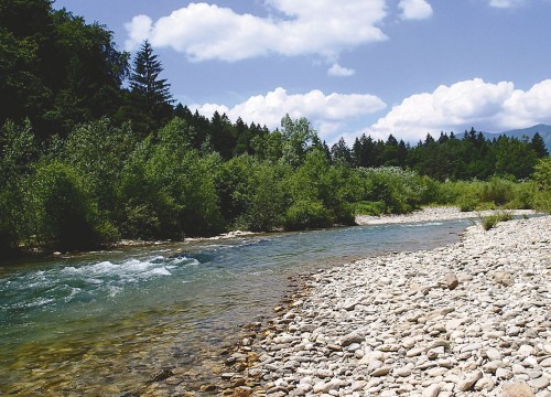 IMG_357256-D210EF-80EF69-DD300F-FC1AFC-C8A017