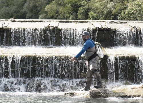 IMG_35DD2B-E21C79-2A013D-2116A4-AAA226-45301C