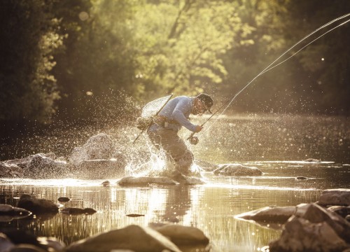 IMG_3AB25F-1BFDA0-00CC32-A600F9-D0EDAA-707558