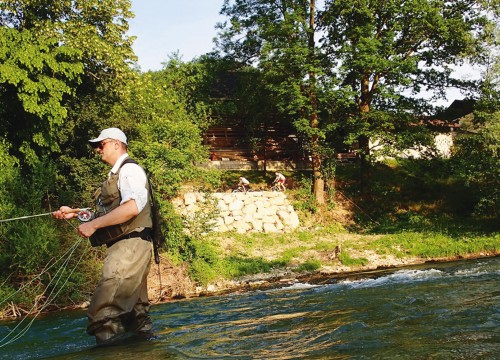 IMG_495A2F-6C92F2-C50E8F-5E9439-8B0DC2-99686E