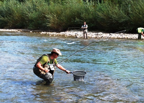 IMG_4A12AA-B875BF-90985A-C04161-04568F-D382D8