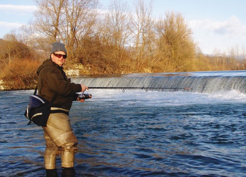 IMG_644B15-40EB5B-C4D493-885EA4-761732-5C7FCD