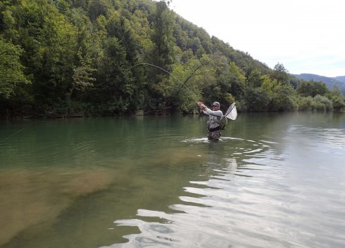 IMG_64BA32-2411CF-70A8F6-74443E-7284AB-B6D089