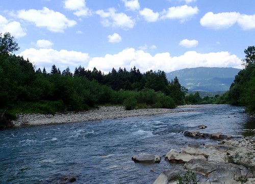 IMG_74CA19-2BD210-60CCF4-1075BD-7F20A3-3E8EF1