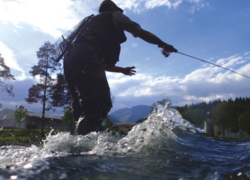 IMG_757CBD-6683B3-BFE59C-1D50A0-F99335-C85D0F