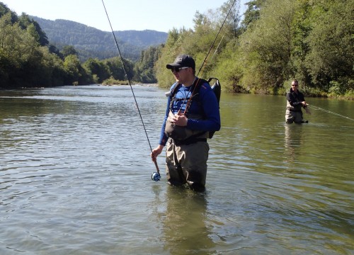 IMG_79203C-072B5B-14DEF1-605F6F-D8973A-B81086