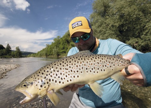 IMG_7A1DDB-A92B7E-EEB23A-1740A7-540382-B6C00D