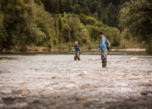 IMG_7F38B0-461D77-705899-CFD387-D8F3D8-61EF21