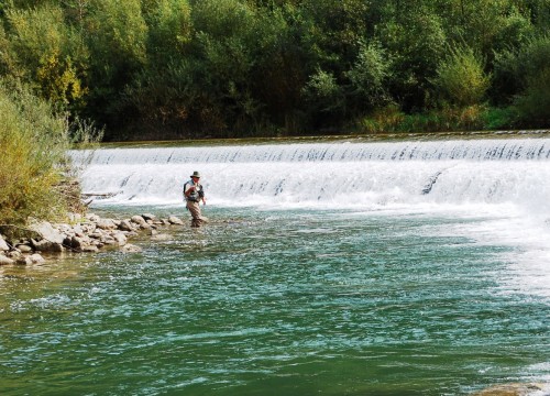 IMG_828FAF-D40F4D-55CAF1-B810B9-B649F1-CF6765