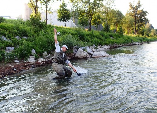 IMG_960230-ED141A-C5808C-ED9894-EF7358-2ECB3C