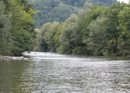 IMG_98A02A-ABE0F4-F0CB6B-0000A7-365D74-58AC34