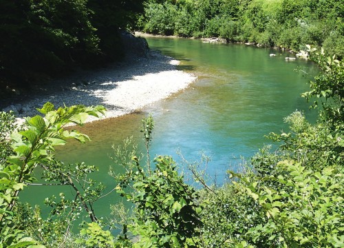 IMG_E571FF-97DB89-B031A9-17C448-F5A4EE-298042